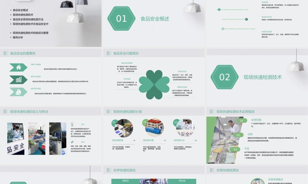 食品安全现场快速检测讲座