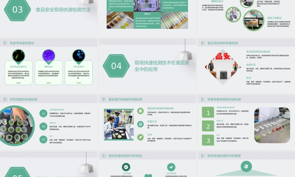 食品安全现场快速检测讲座