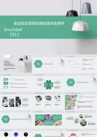 食品安全现场快速检测讲座