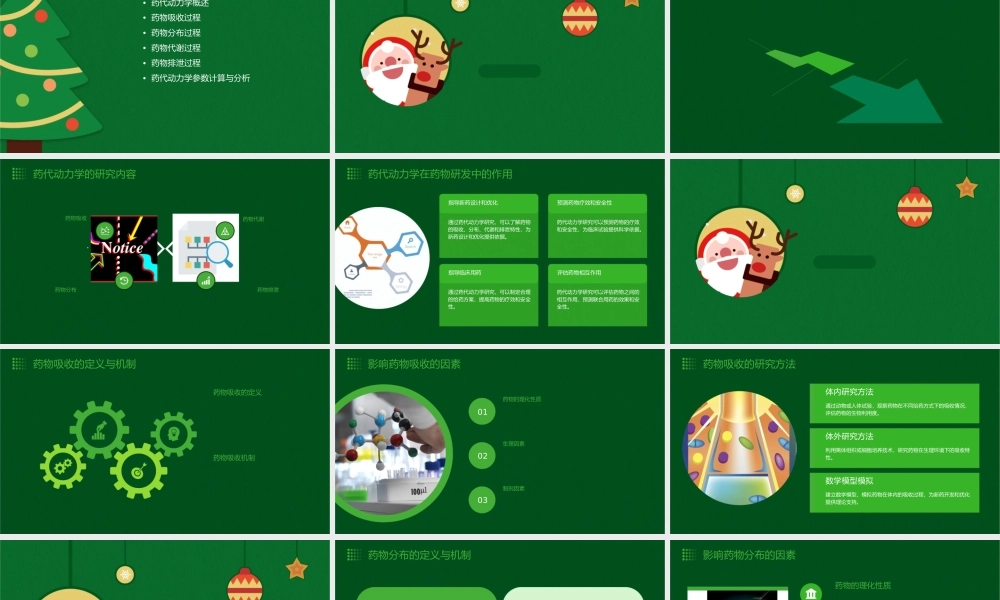 药代动力学探究