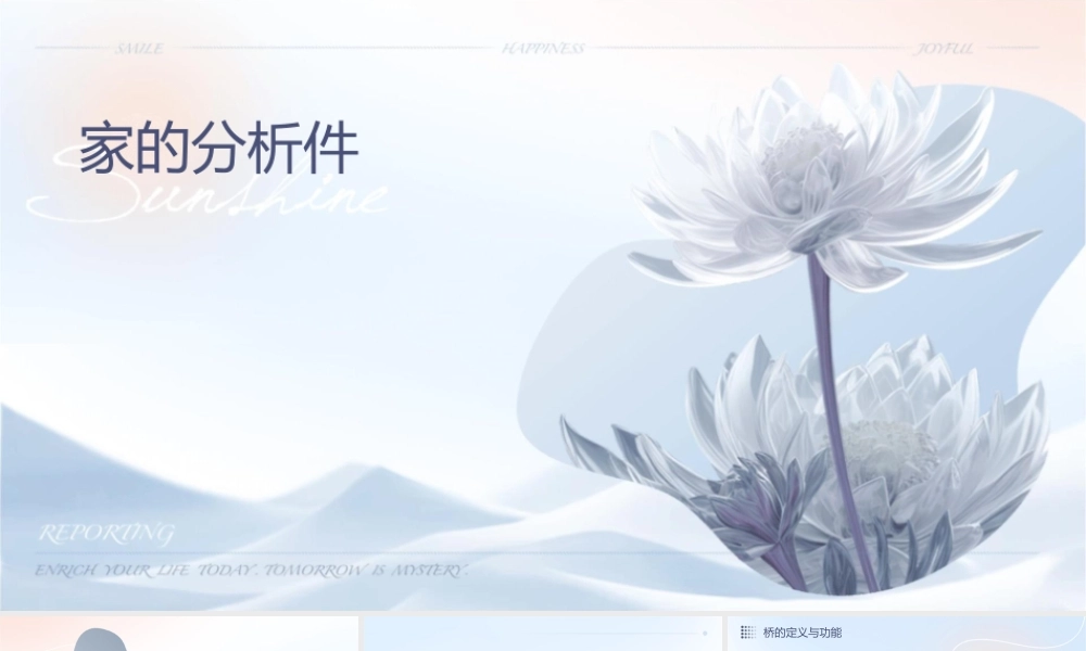 聋校十二册6家乡的桥分析