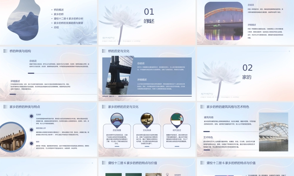 聋校十二册6家乡的桥分析