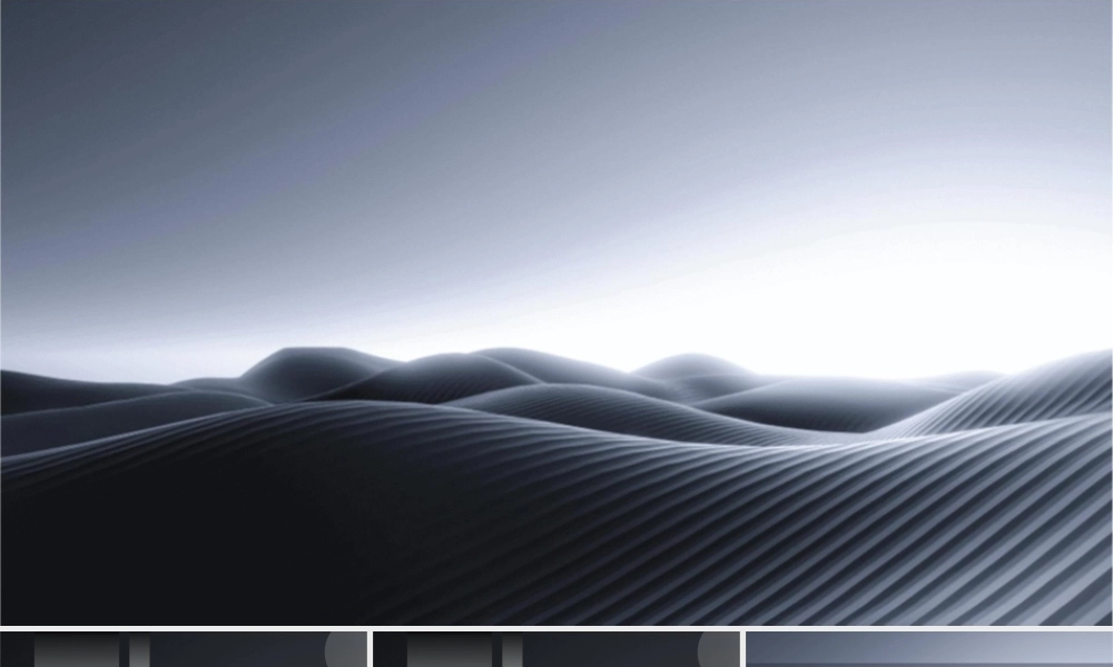 项目四物流配送中心的布局管理分析