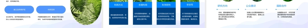 蕨类植物讲解