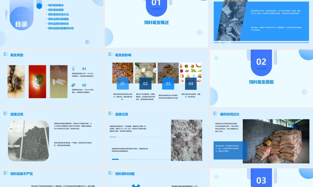 饲料霉变及品质控制