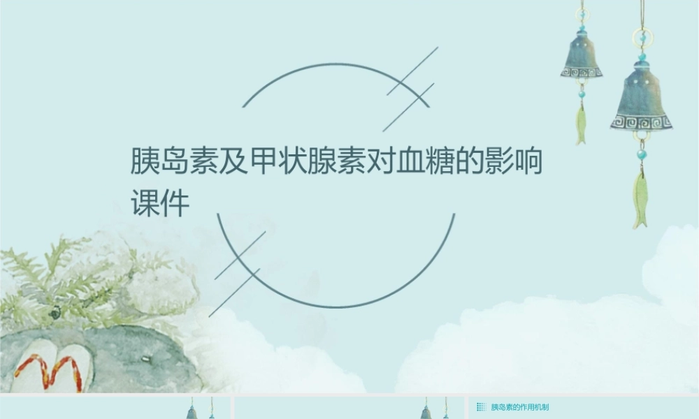 胰岛素及甲状腺素对血糖的影响