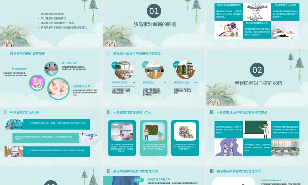 胰岛素及甲状腺素对血糖的影响