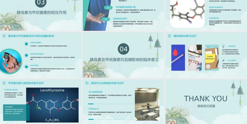 胰岛素及甲状腺素对血糖的影响