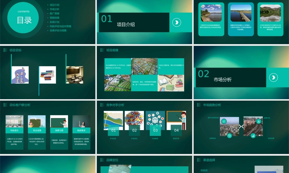 辽源市辽河半岛项目推广策略总纲