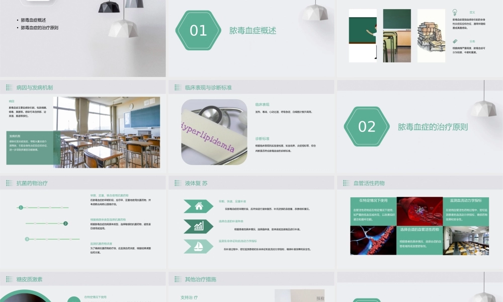 脓毒血症指南(医生版)