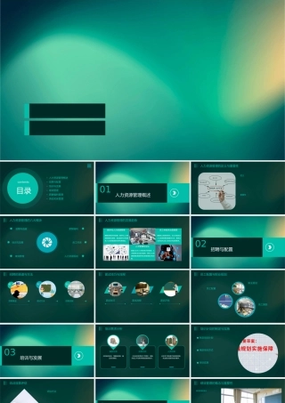 考前串讲(三级人力)