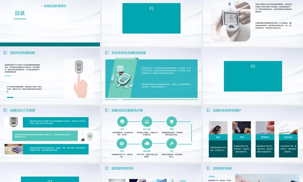 血糖的监测与血糖仪的使用