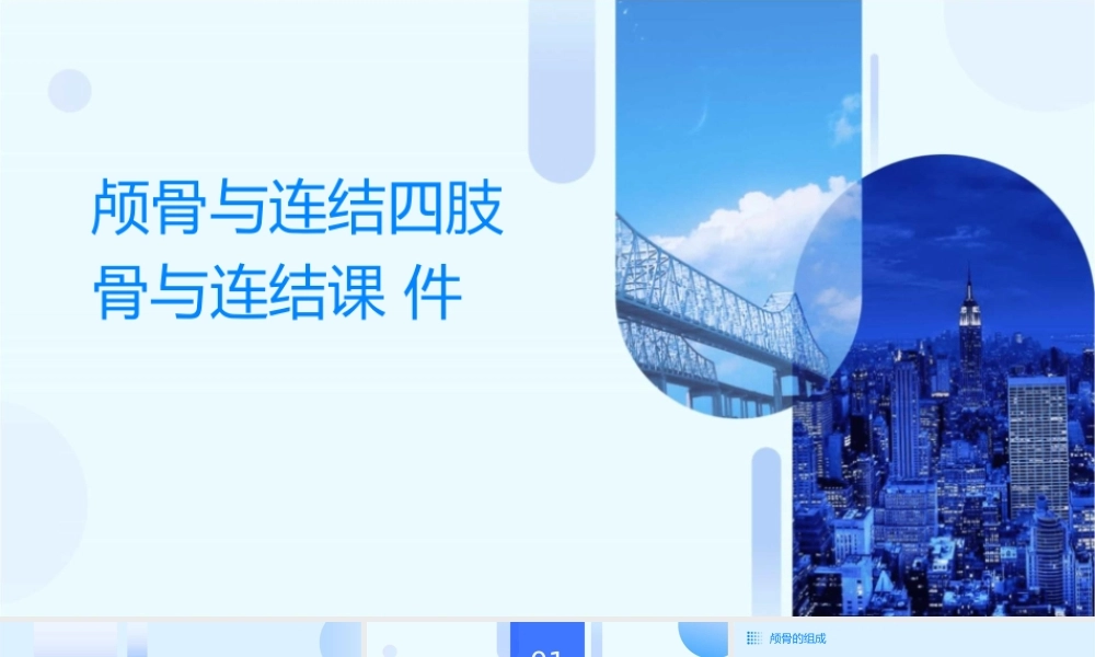 颅骨与连结四肢骨与连结