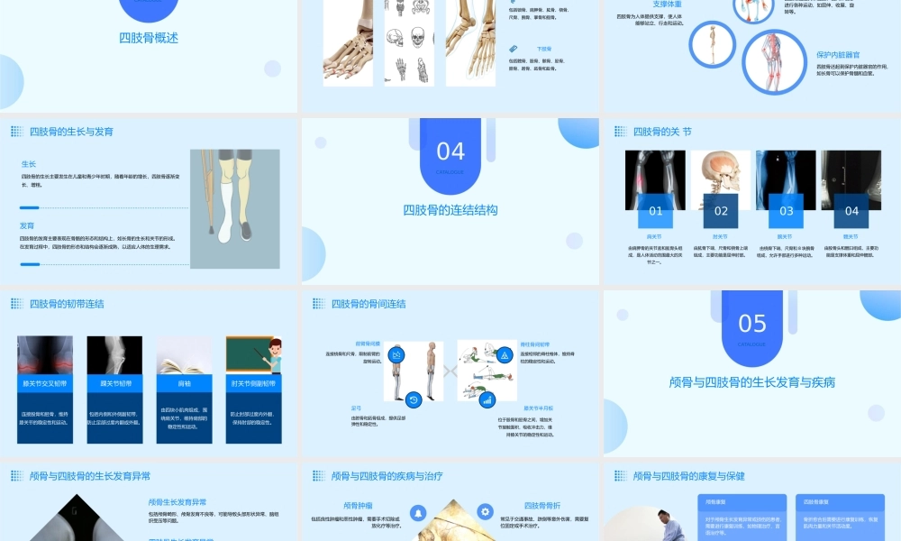 颅骨与连结四肢骨与连结