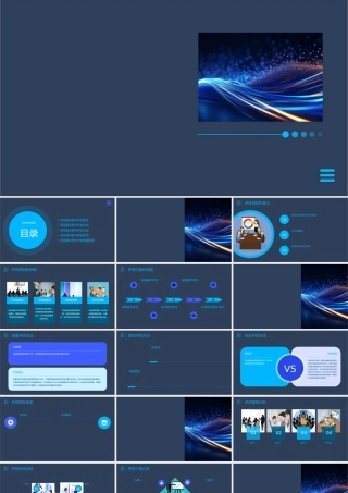 项目建设条件评估