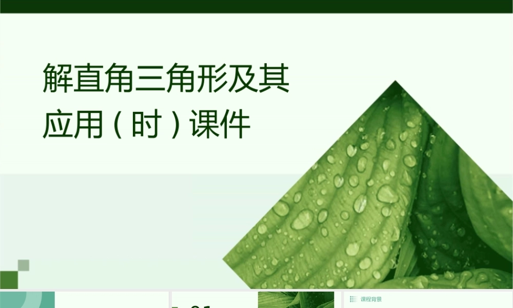 解直角三角形及其应用(时)