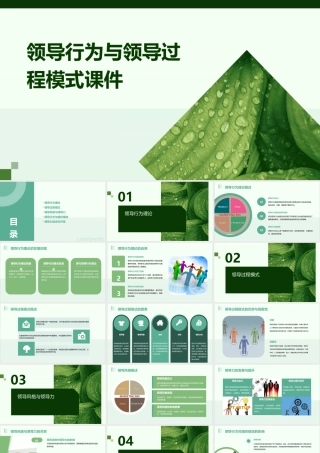 领导行为与领导过程模式