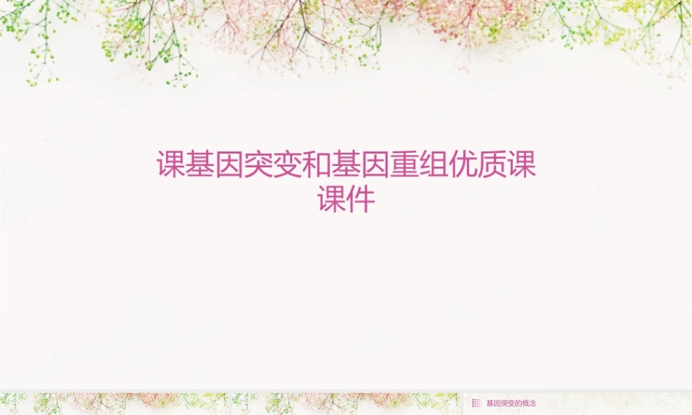 课基因突变和基因重组优质课