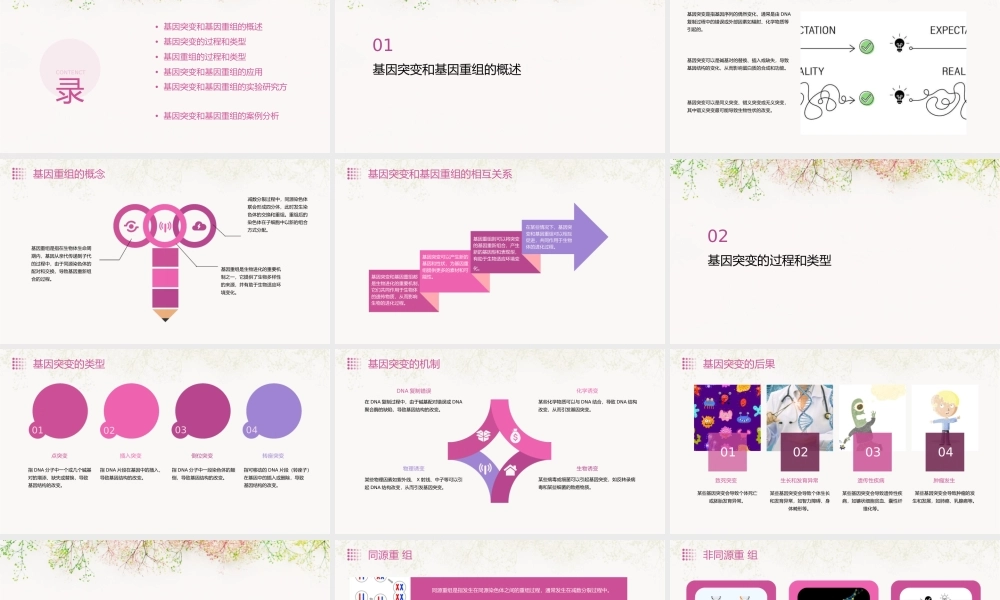课基因突变和基因重组优质课