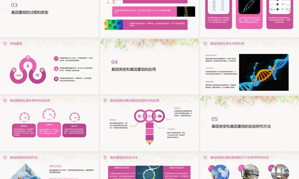 课基因突变和基因重组优质课