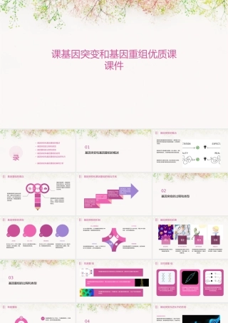 课基因突变和基因重组优质课