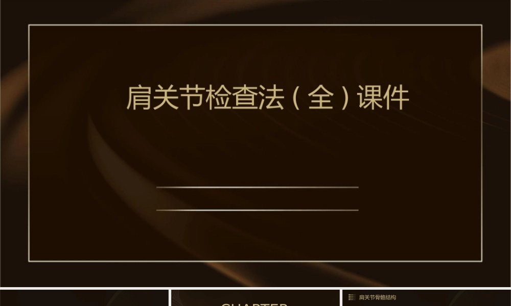 肩关节检查法(全)