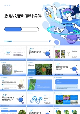 蝶形花亚科豆科