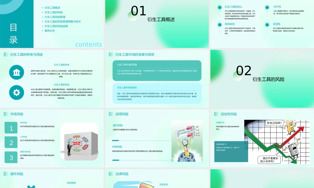 衍生工具及其风险管理