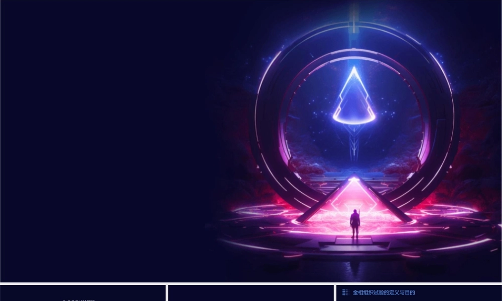 金相组织试验与分析