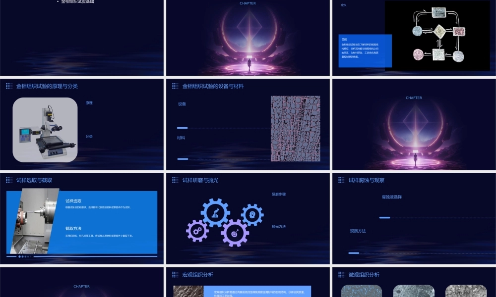 金相组织试验与分析