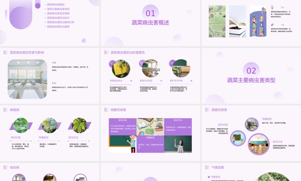 蔬菜主要病虫害分析