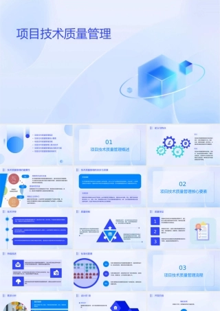 项目技术质量管理格式