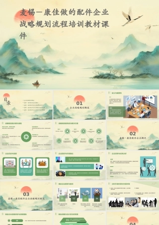 麦锡－康佳做的配件企业战略规划流程培训教材