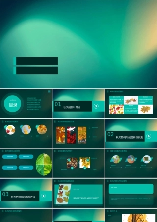 苏教版五年级上语文习作秋天的树叶