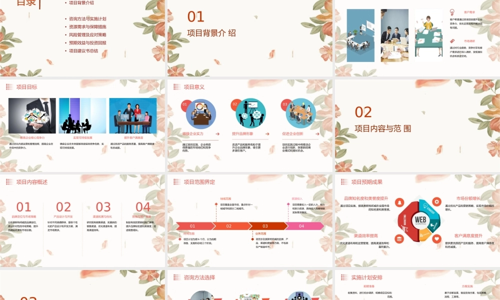 美斯特邦威咨询项目建议书