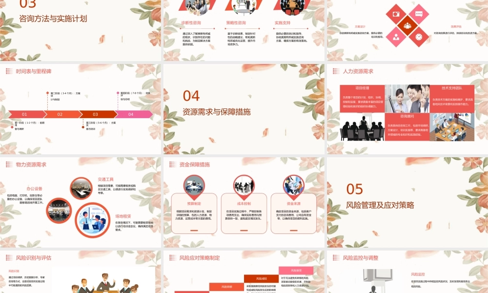 美斯特邦威咨询项目建议书