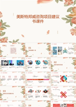 美斯特邦威咨询项目建议书