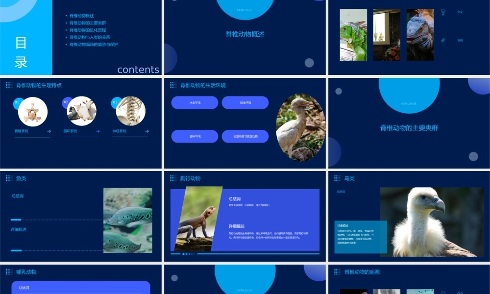 脊椎动物总复习