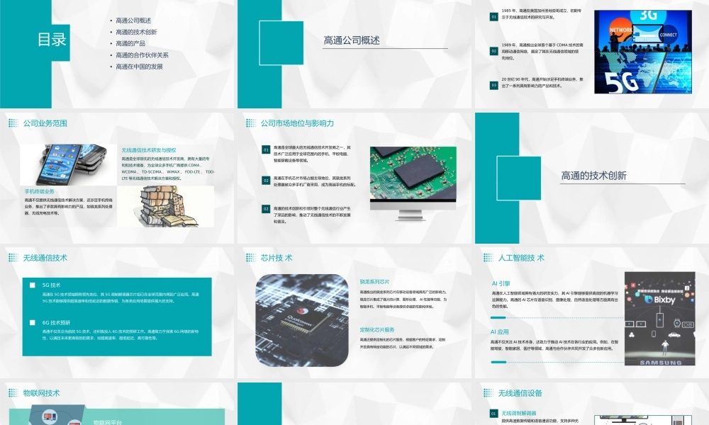 高通介绍部分