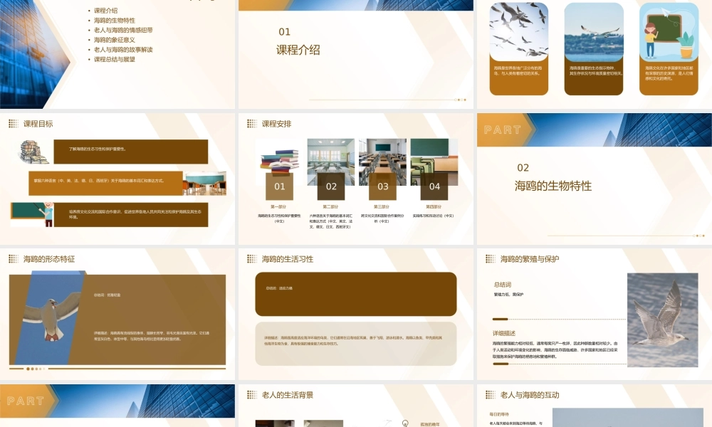 老人与海鸥六语解读