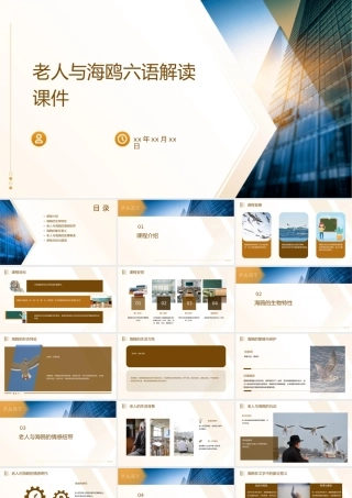 老人与海鸥六语解读