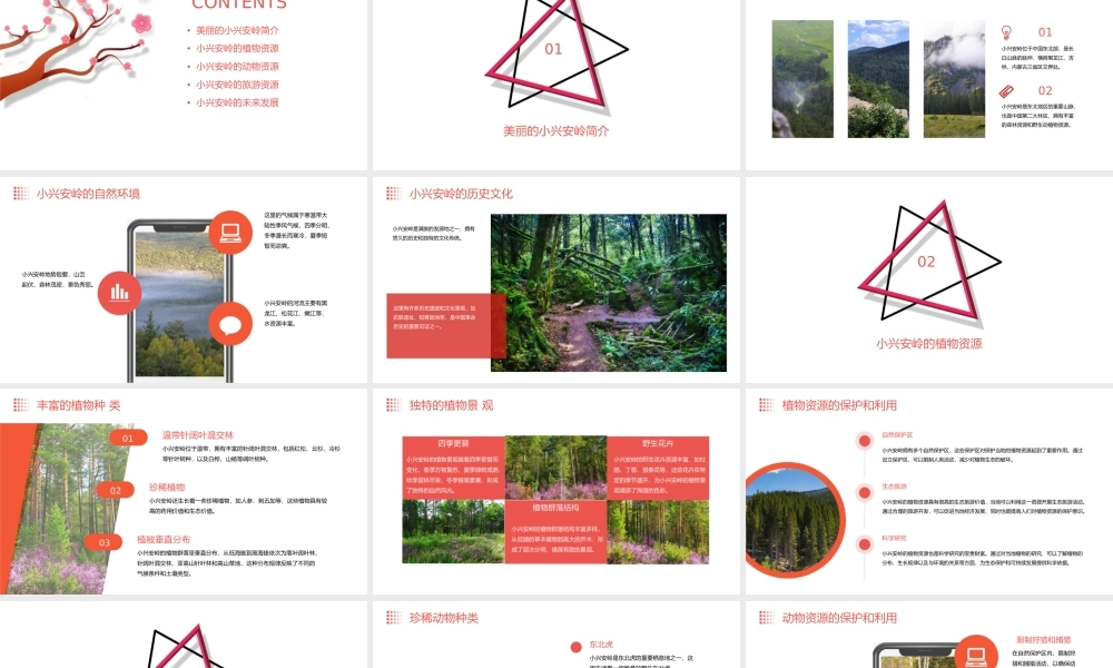 美丽的小兴安岭教学