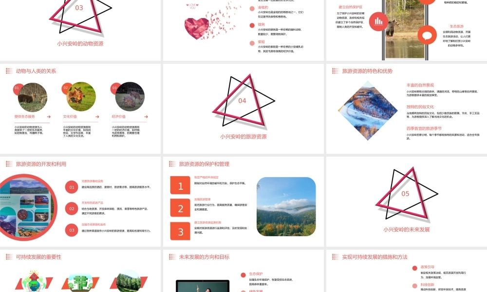 美丽的小兴安岭教学