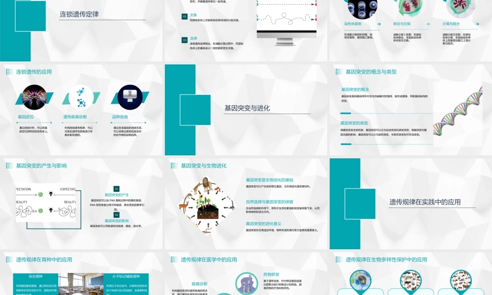 遗传的基本规律(必复习)