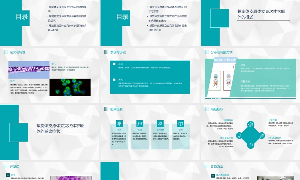 螺旋体支原体立克次体衣原体