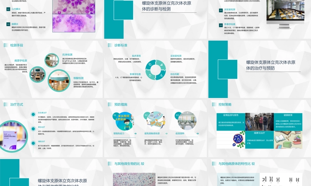 螺旋体支原体立克次体衣原体
