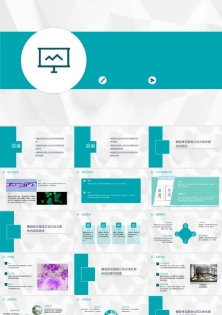 螺旋体支原体立克次体衣原体