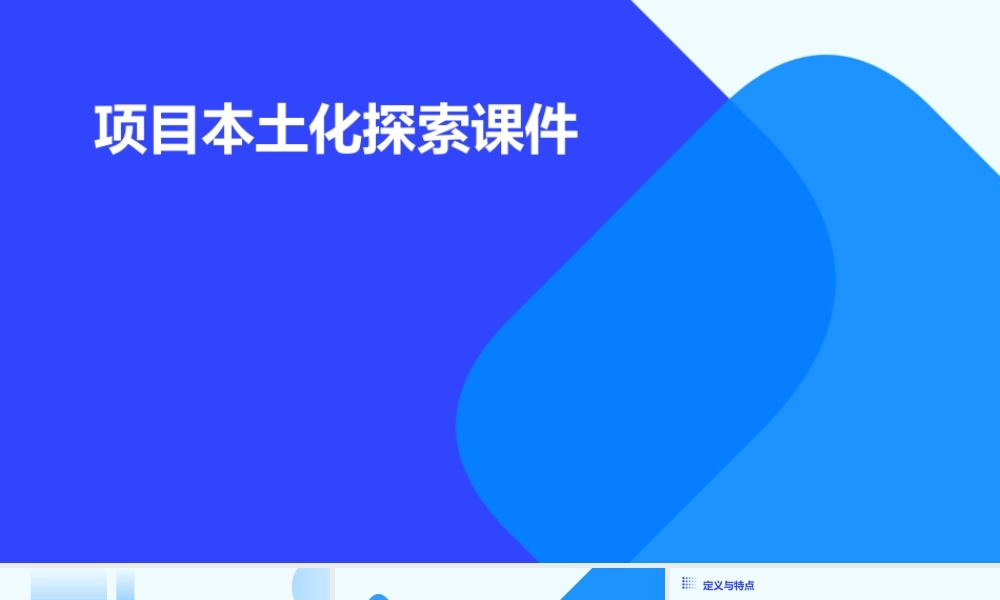 项目本土化探索