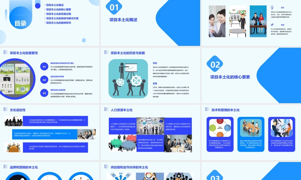 项目本土化探索