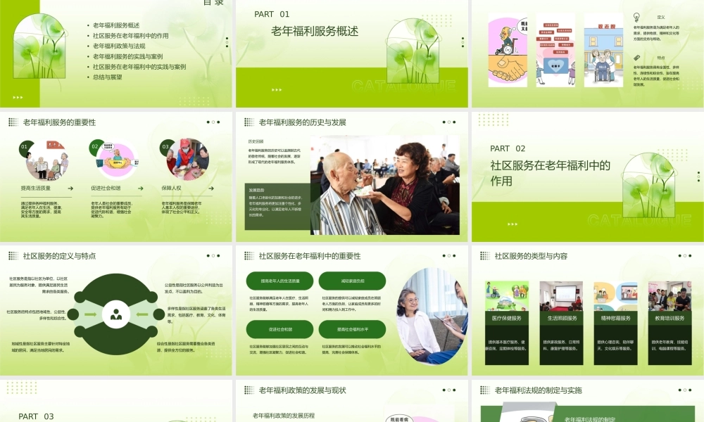 老年福利与社区服务